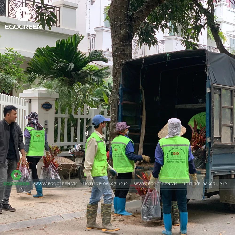 Giống cây tốt được lấy từ làng nghề dường như mang "vượng khí"!